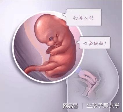 包生男孩中介机构试管婴儿中心